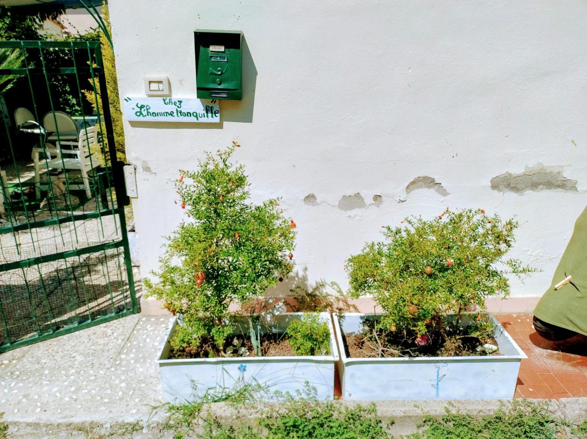 Appartamento Chez L'Homme Tranquille Arena Metato Esterno foto