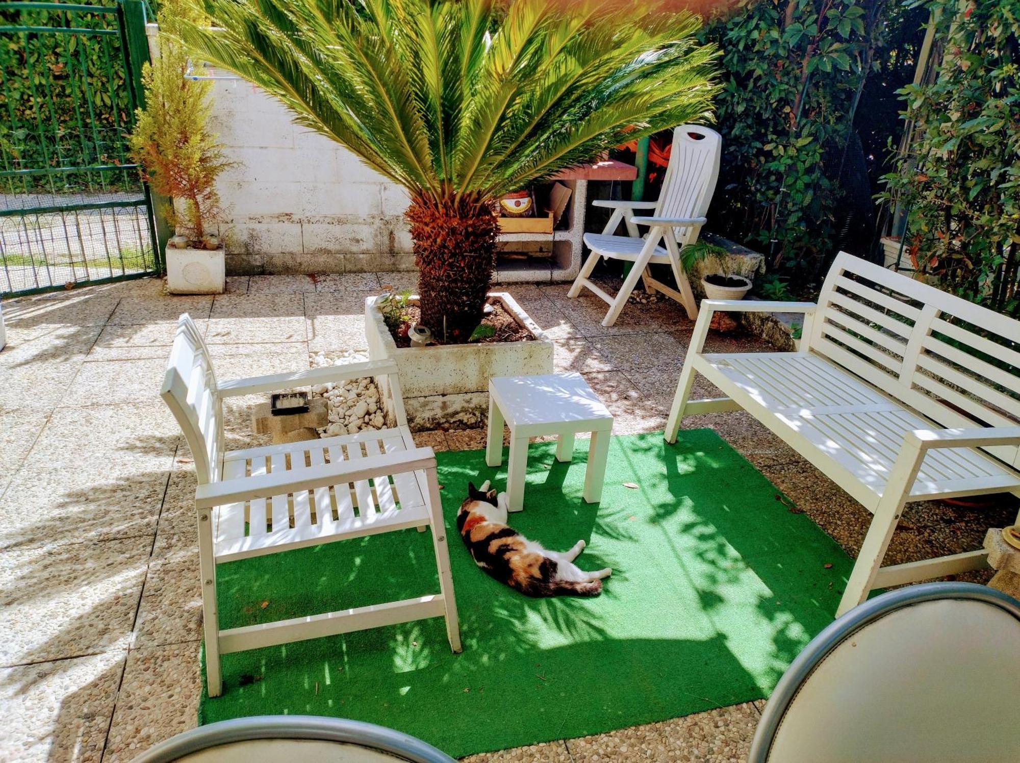 Appartamento Chez L'Homme Tranquille Arena Metato Esterno foto